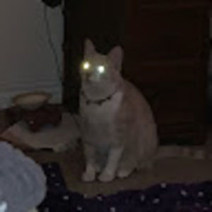 Meet your Posher, Klove